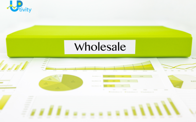 Reasons Why Ecommerce is Essential for The Growth of wholesale Business