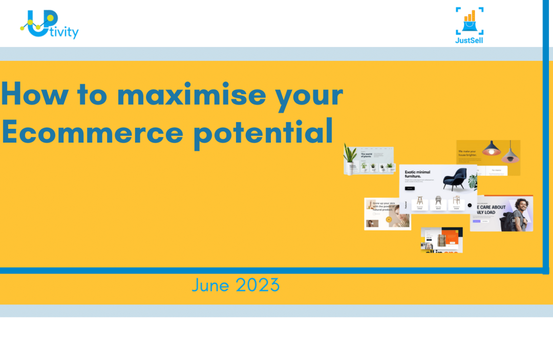 How to maximise your Ecommerce potential