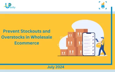 Prevent Stockouts and Overstocks in Wholesale Ecommerce
