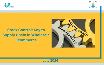 Stock Control: Key to Supply Chain in Wholesale Ecommerce